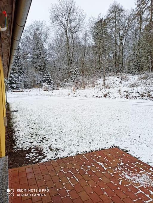 Gemuetliches Ferienhaus Im Harz Direkt Am Waldrand Harzgerode Luaran gambar